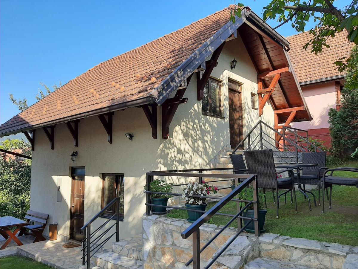 Apartmani Ogi I Ana Bajina Basta Exterior foto