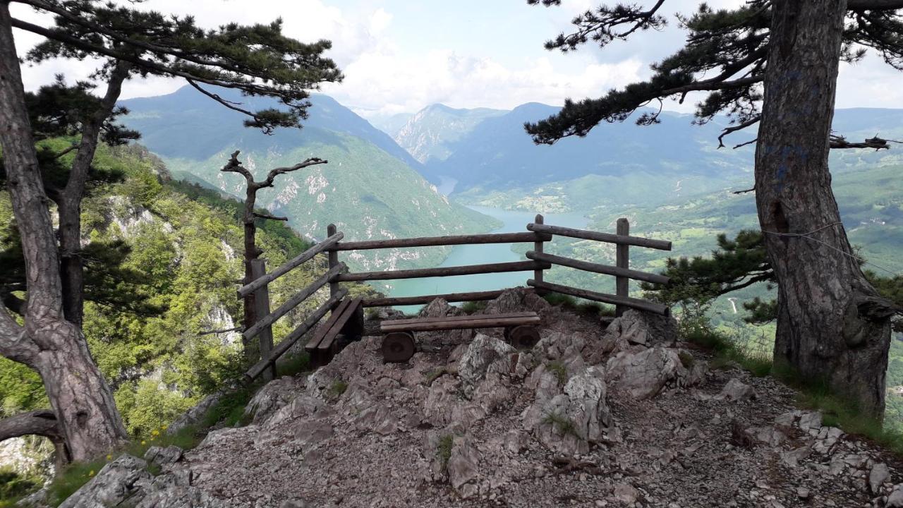 Apartmani Ogi I Ana Bajina Basta Exterior foto