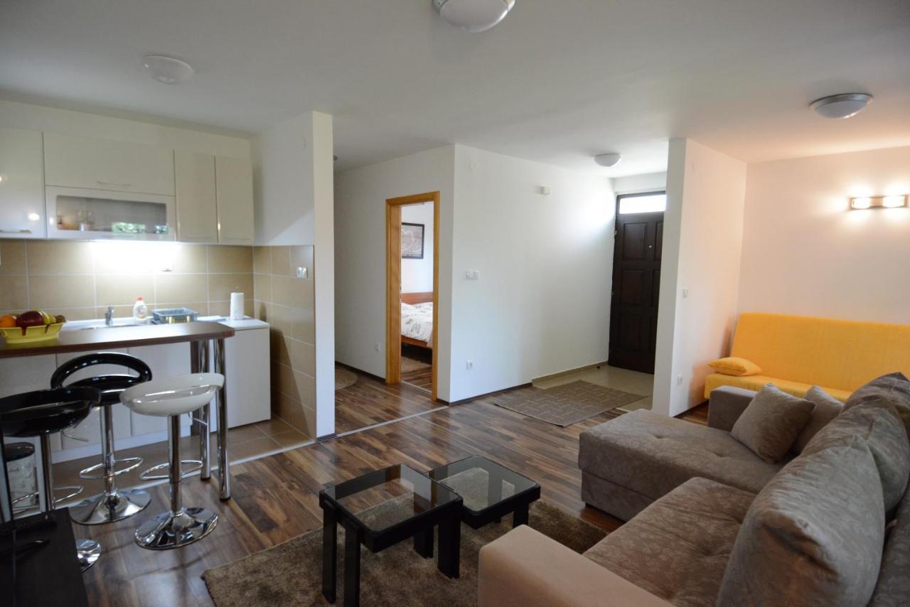 Apartmani Ogi I Ana Bajina Basta Exterior foto